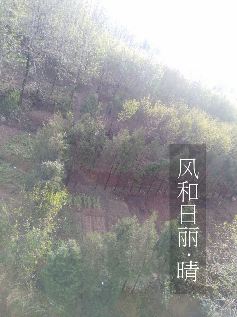俺家后院有山.jpg