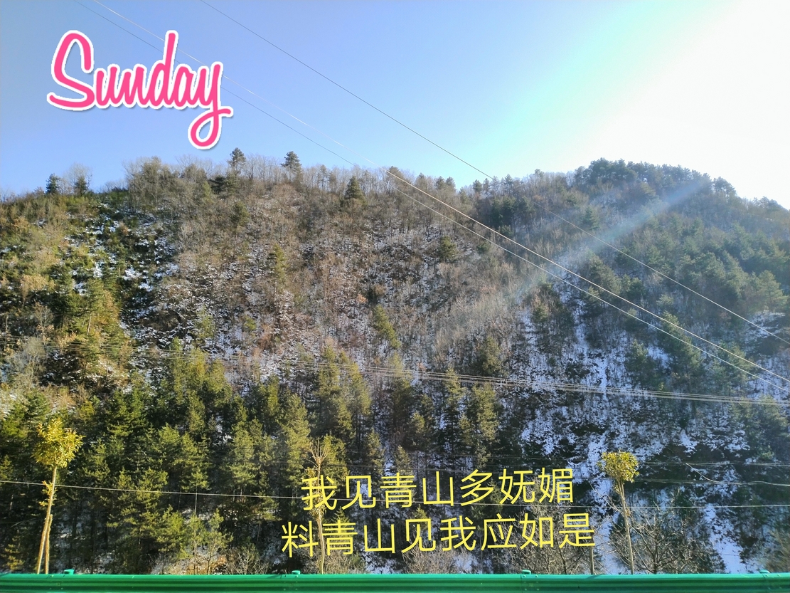 我见青山.jpg