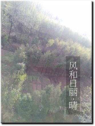 俺家后院有山.jpg