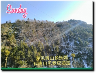 我见青山.jpg