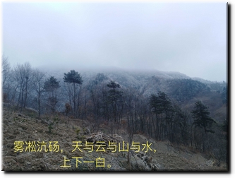 雾凇沆砀.jpg